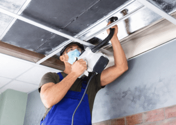 ChatGPT Image Feb 13 2026 12 00 28 PM 1